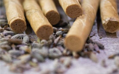 Cigarros herbales: ¿libres de químicos?