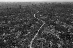 Foto aérea de Apuí, uno de los municipios con más deforestación. Foto:© Lalo de Almeida